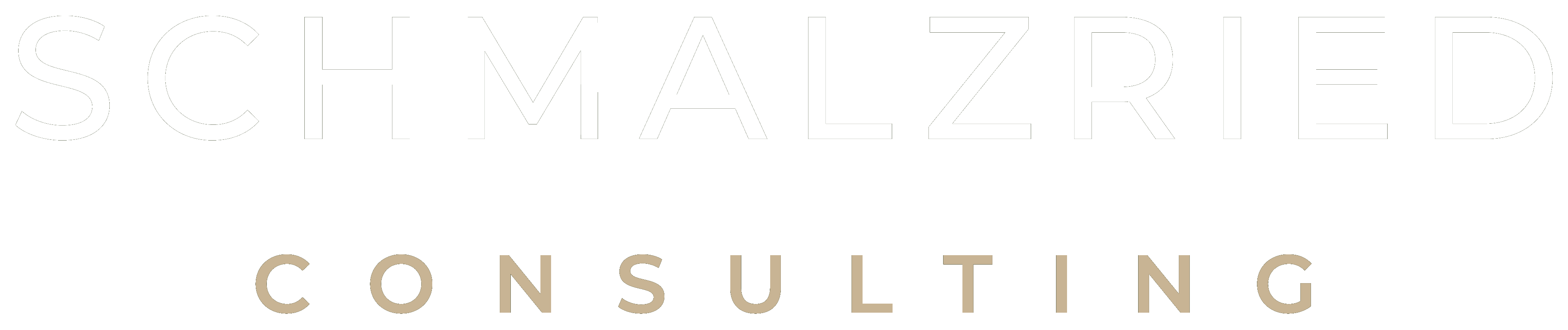 Schmalzried Consulting